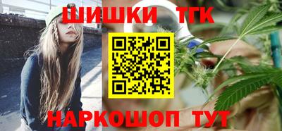 индика Брянск