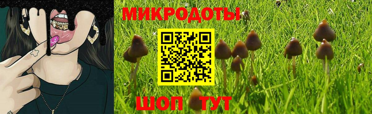 Галлюциногенные грибы Psilocybine cubensis Назрань
