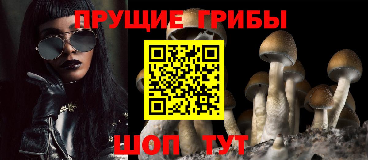 Галлюциногенные грибы Psilocybe  Вход с VPN  Назрань 